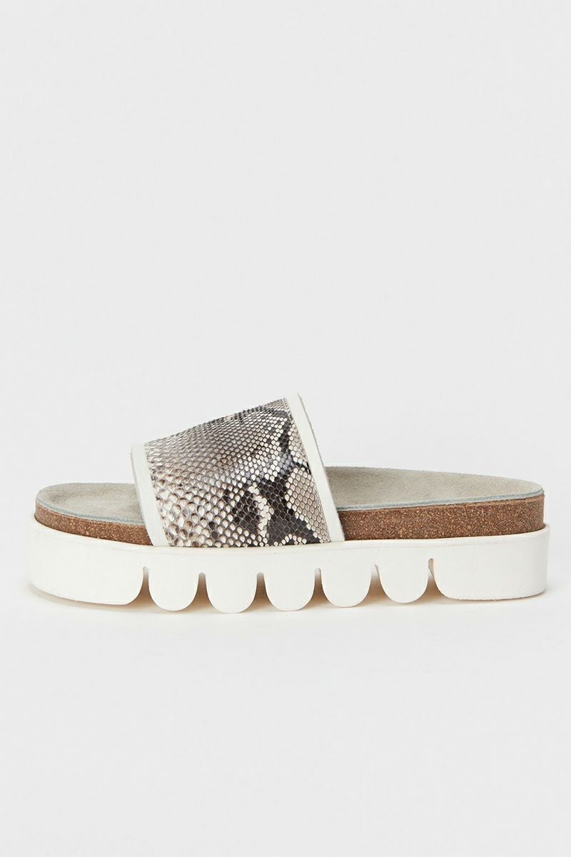 Hender Scheme(エンダースキーマ)キャタピラー パイソン caterpillar python nc-s-cat -5