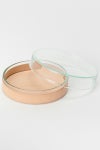 Hender Scheme(エンダースキーマ)サイエンスベース science vase 化瓶 ペトリディッシュ シャーレ petri dish L sv-pd-90 -2