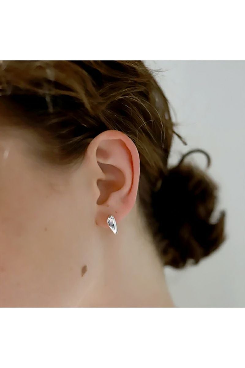 TEN.(テン)クリーパーピアス SV PI-0121 -5