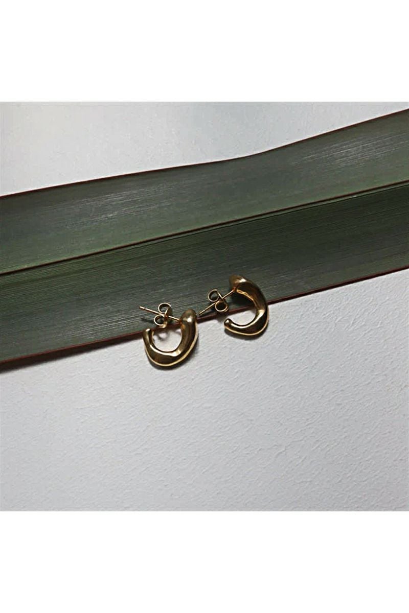 TEN.(テン)クリーパーピアス GD PIG-0121 -2