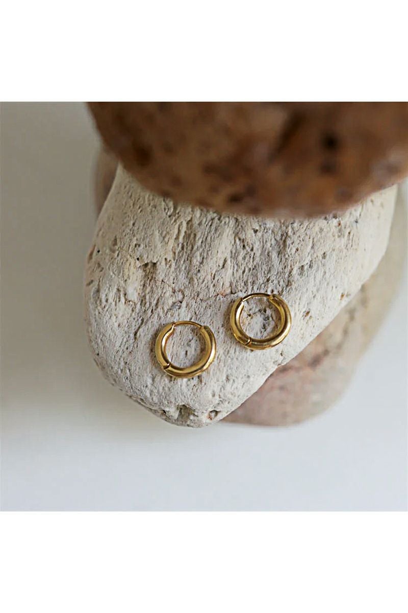 TEN.(テン)ボイドピアス GD PIG-0139 -2