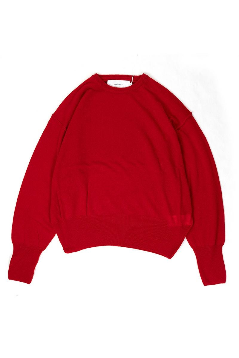 JANE SMITH(ジェーンスミス)12G CASHMERE CREWNECK 23WKN-＃937L -2