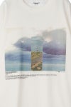 JANE SMITH(ジェーンスミス)NICOLA KLOOSTERMAN WONDERLUST 2017 PERSPECTIVE 2017 S/S T-SHIRT ニコラ・クルーストマン ワンダーラスト パースペクティブ 半袖Tシャツ 23WCT-#954S -2