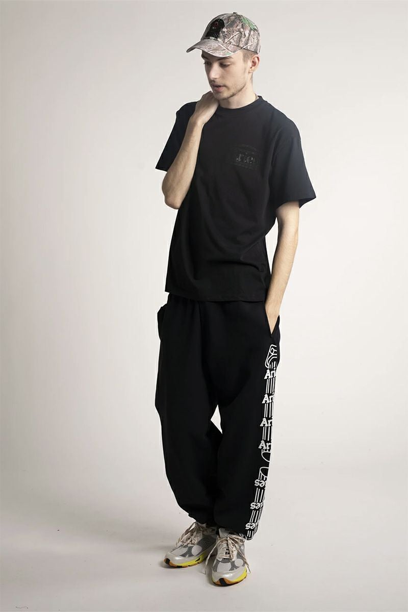 ARIES(アリーズ)Temple SS Tee COAR60000 -10