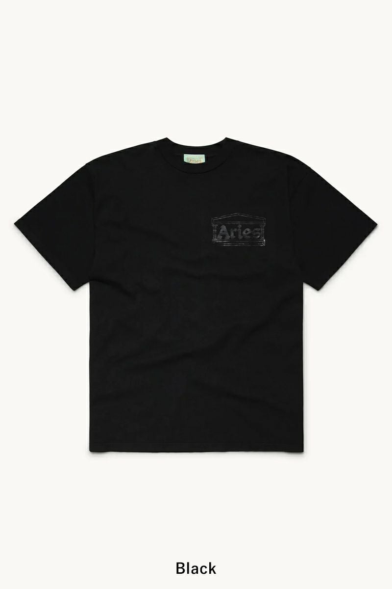 ARIES(アリーズ)Temple SS Tee COAR60000 -12