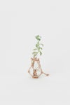 Hender Scheme(エンダースキーマ)サイエンスベース science vase 化瓶 ケルダール フラスコ Kjeldahl flask 100ml sv-nf-100 -4