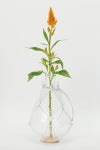 Hender Scheme(エンダースキーマ)サイエンスベース science vase 化瓶 ケルダール フラスコ Kjeldahl flask 2000ml sv-nf-2l -4
