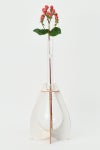 Hender Scheme(エンダースキーマ)サイエンスベース science vase 化瓶 ケルダールフラスコロング Kjeldahl flask long/500ml sv-kf-500 -3