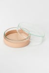 Hender Scheme(エンダースキーマ)サイエンスベース science vase 化瓶 ペトリディッシュ シャーレ petri dish M sv-pd-60 -1