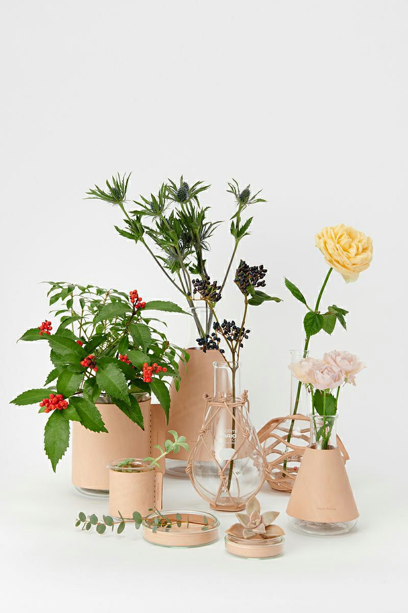 Hender Scheme(エンダースキーマ)サイエンスベース science vase 化瓶 ペトリディッシュ シャーレ petri dish M sv-pd-60 -6