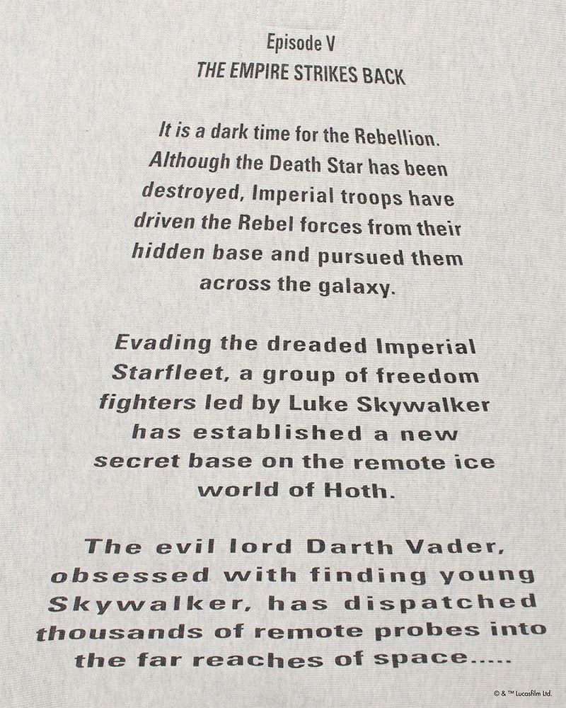 BOWWOW(バウワウ)DARTH VADER / SWEATSHIRTS LIMITED EDITION スターウォーズ BW242-DVSS -6