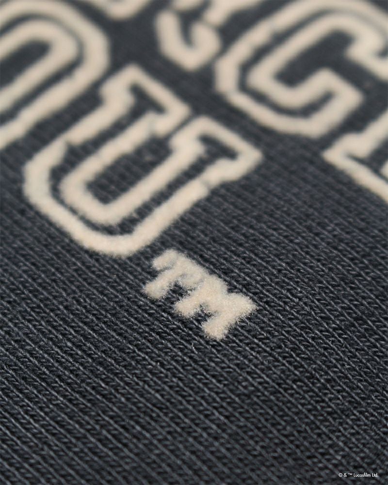 BOWWOW(バウワウ)YODA / SWEATSHIRTS LIMITED EDITION ヨーダ BW242-YSS -7