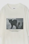 JANE SMITH(ジェーンスミス)NICOLA KLOOSTERMAN NINE LIVES S/S T-SHIRT ニコラ・クルーストマンナインライブス半袖Tシャツ 25SCT-#618S -4