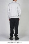 DAIWA PIER 39(ダイワピア39) TECH SWEAT SNAP PULLOVER テックスウェットスナッププルオーバー BE-53025W