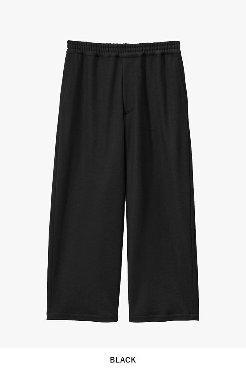 Graphpaper(グラフペーパー) Wool Smooth Flannel Easy Wide Pants ウールスムースフランネルイージーワイドパンツ GU2534-0223B