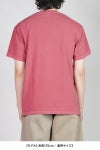 SUGARHILL(シュガーヒル) × CarService(カーサービス) "CS" HOTWHEEL LOGO TEE ホットウィールロゴTシャツ 26880907