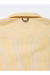 DAIWA PIER 39(ダイワピア39) TECH REGULAR COLLAR SHIRT LS STRIPE テックレギュラーカラー長袖シャツ ストライプ BE-83026W