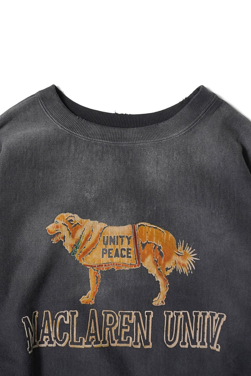BOWWOW(バウワウ) FADED SWEATSHIRT - DOG フェードスウェットシャツ BWU-FSD