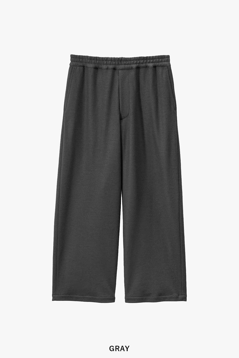 Graphpaper(グラフペーパー) Wool Smooth Flannel Easy Wide Pants ウールスムースフランネルイージーワイドパンツ GU263-40523B